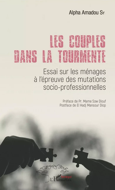 Les couples dans la tourmente - Alpha Amadou Sy - Editions L'Harmattan