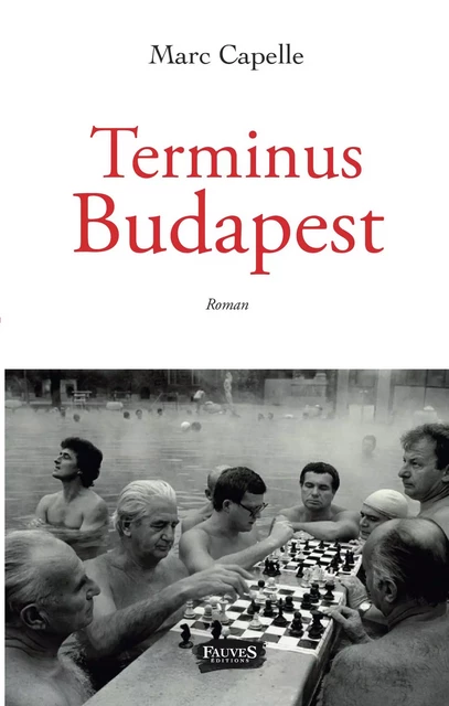 Terminus Budapest - Véronique Francis - Fauves editions