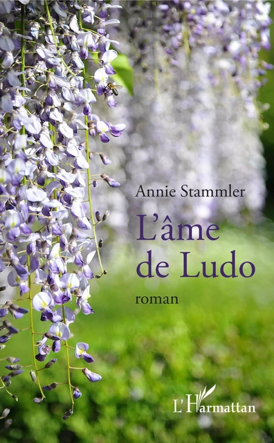 L'âme de Ludo - Annie Stammler - Editions L'Harmattan