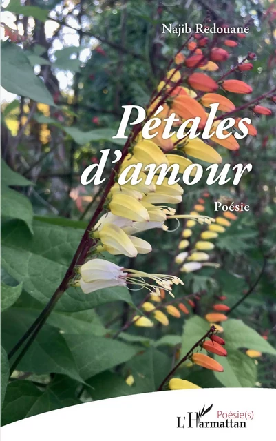 Pétales d'amour - Najib Redouane - Editions L'Harmattan