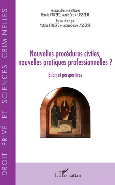 Nouvelles procédures civiles, nouvelles pratiques professionnelles ? - Natalie Fricero, Marie-Cécile Lasserre - Editions L'Harmattan