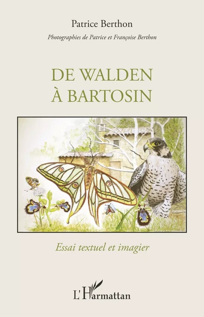 De Walden à Bartosin - Patrice Berthon - Editions L'Harmattan