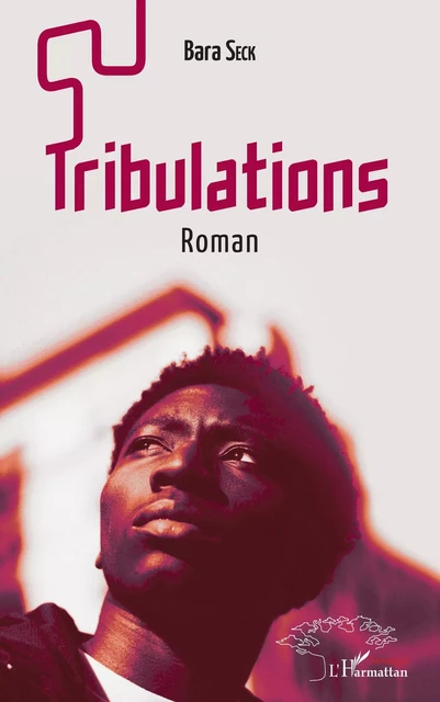 Tribulations. Roman - Bara Seck - Editions L'Harmattan