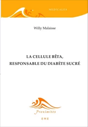 La cellule bêta, responsable du diabète sucré