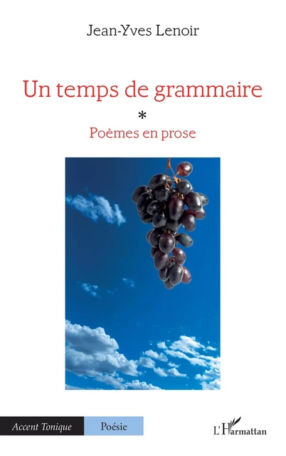 Un temps de grammaire - Jean-Yves Lenoir - Editions L'Harmattan