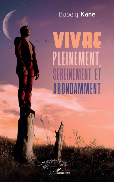 Vivre pleinement, sereinement et abondamment - Babaly Kane - Editions L'Harmattan