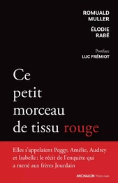 Ce petit morceau de tissu rouge