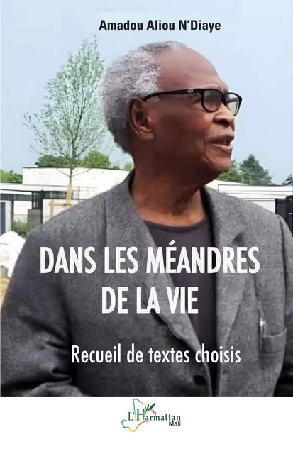 Dans les méandres de la vie - Amadou Aliou N'diaye - Editions L'Harmattan