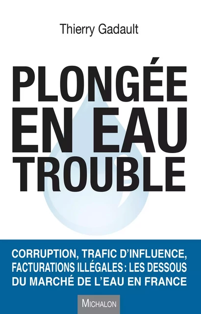 Plongée en eau trouble - Thierry Gadault - Michalon