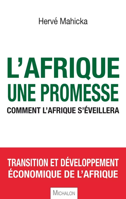 L'Afrique, une promesse - Hervé Mahicka - Michalon