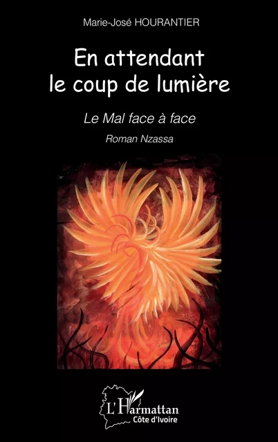 En attendant le coup de lumière - Marie-José Hourantier - Editions L'Harmattan