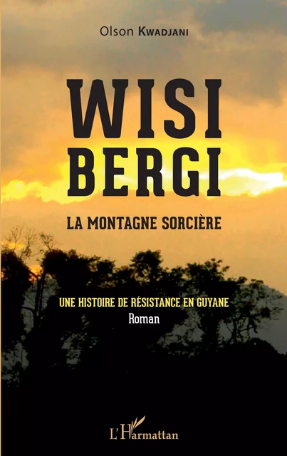 Wisi Bergi -  Olson Kwadjani - Editions L'Harmattan