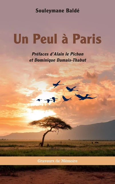 Un Peul à Paris - Souleymane Baldé - Editions L'Harmattan