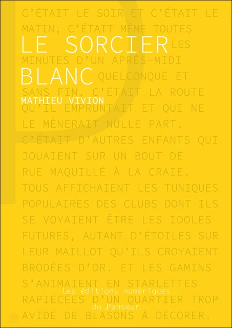 Le Sorcier Blanc - Mathieu Vivion - Les éditions du Panseur