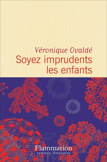 Soyez imprudents les enfants - Véronique Ovaldé - Flammarion