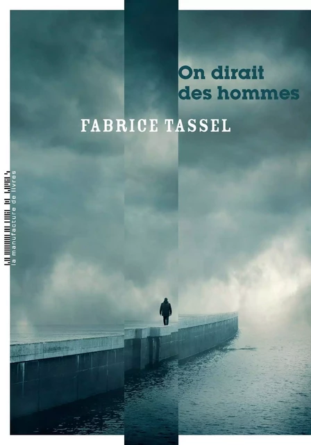 On dirait des hommes - Fabrice Tassel - La Manufacture de livres