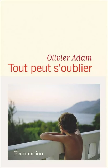 Tout peut s'oublier - Olivier Adam - Flammarion