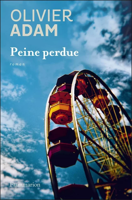 Peine perdue - Olivier Adam - Flammarion