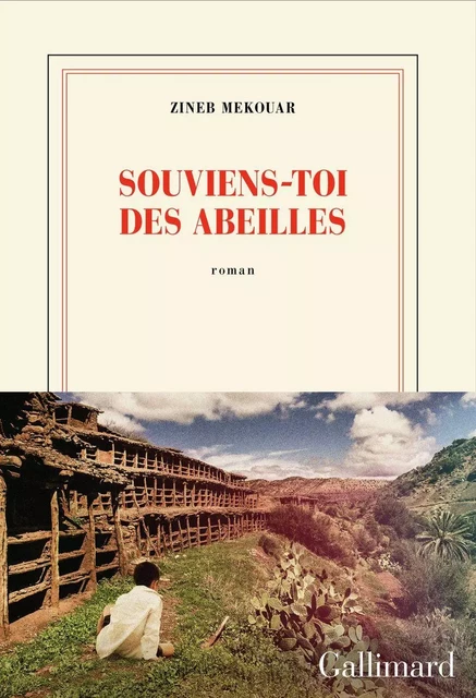 Souviens-toi des abeilles - Zineb Mekouar - Editions Gallimard