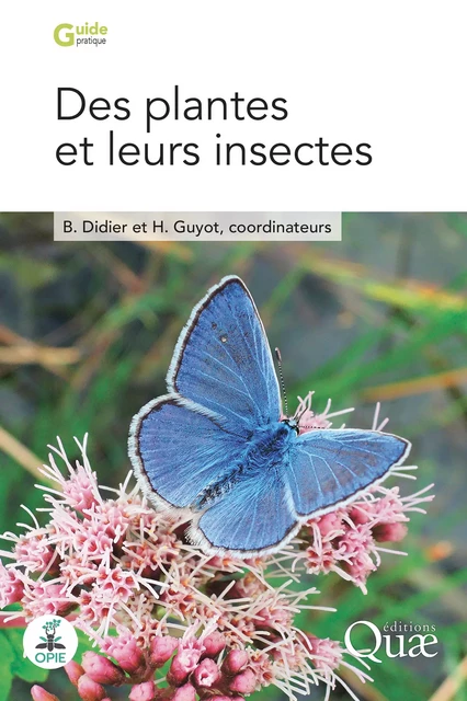 Des plantes et leurs insectes - Bruno Didier, Hervé Guyot - Quae