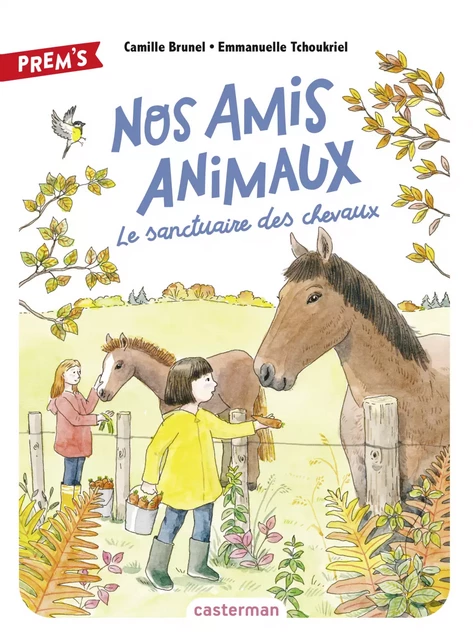 Nos amis animaux (Tome 3) - Le sanctuaire des chevaux - Camille Brunel - Casterman Jeunesse