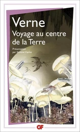 Voyage au centre de la terre