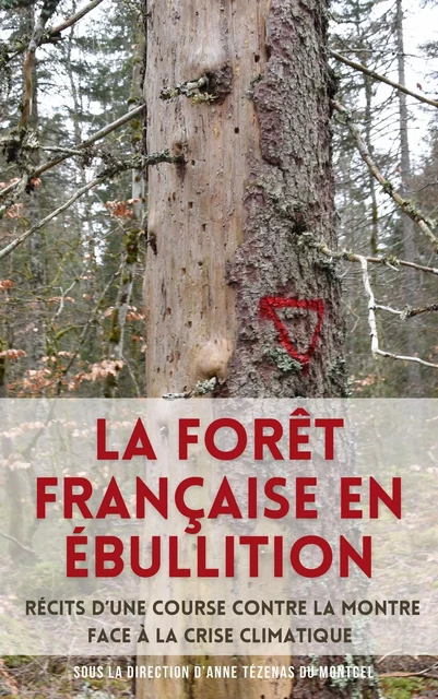 La Forêt française en ébullition - Sous la direction d'Anne Tézenas du Montcel - Librinova