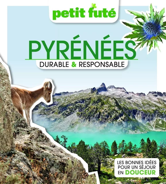 PYRÉNÉES DURABLE et RESPONSABLE 2023 Petit Futé - Dominique Auzias, Jean-Paul Labourdette - Petit Futé