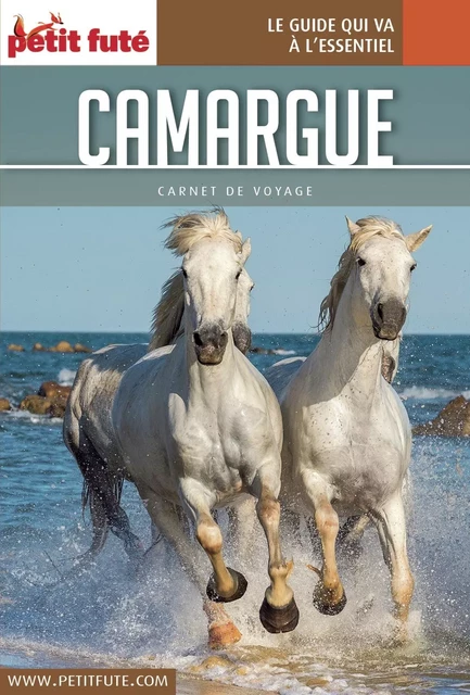 CAMARGUE 2017 Carnet Petit Futé - Dominique Auzias, Jean-Paul Labourdette - Petit Futé