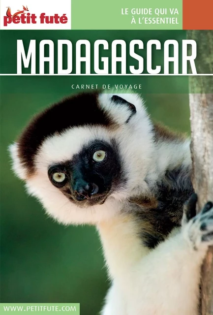 MADAGASCAR 2016/2017 Carnet Petit Futé - Dominique Auzias, Jean-Paul Labourdette - Petit Futé