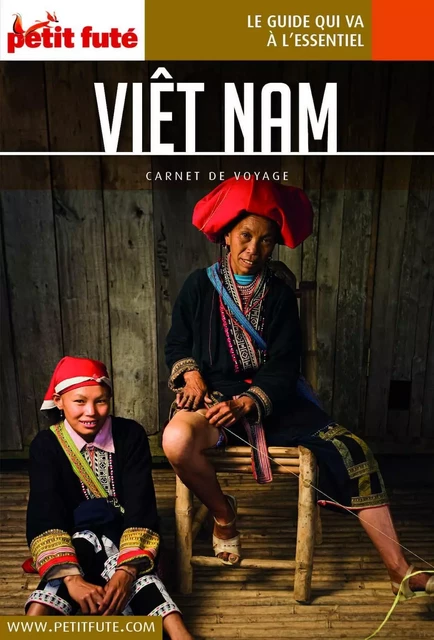 VIETNAM 2020 Carnet Petit Futé - Dominique Auzias, Jean-Paul Labourdette - Petit Futé