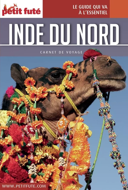 INDE DU NORD 2016 Carnet Petit Futé - Dominique Auzias, Jean-Paul Labourdette - Petit Futé