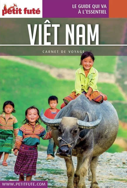 VIETNAM 2018 Carnet Petit Futé - Dominique Auzias, Jean-Paul Labourdette - Petit Futé