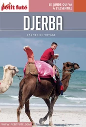 DJERBA 2016 Carnet Petit Futé