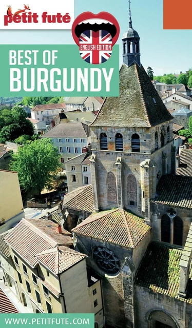 BEST OF BURGUNDY 2016/2017 Petit Futé - Dominique Auzias, Jean-Paul Labourdette - Petit Futé