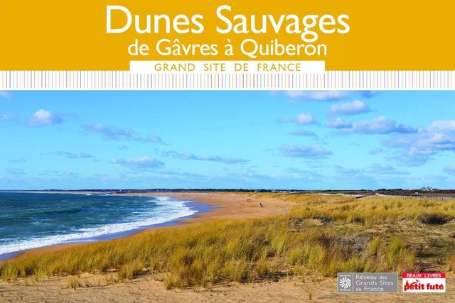 DUNES SAUVAGES DE GÂVRES À QUIBERON 2019 Petit Futé - Dominique Auzias, Jean-Paul Labourdette - Petit Futé