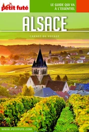 ALSACE 2018 Carnet Petit Futé