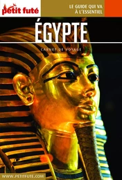 EGYPTE 2019 Carnet Petit Futé