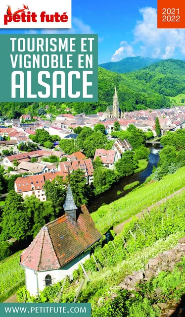 TOURISME ET VIGNOBLE EN ALSACE 2020 Petit Futé - Dominique Auzias, Jean-Paul Labourdette - Petit Futé