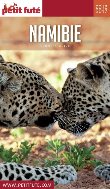 NAMIBIE 2016/2017 Petit Futé - Dominique Auzias, Jean-Paul Labourdette - Petit Futé