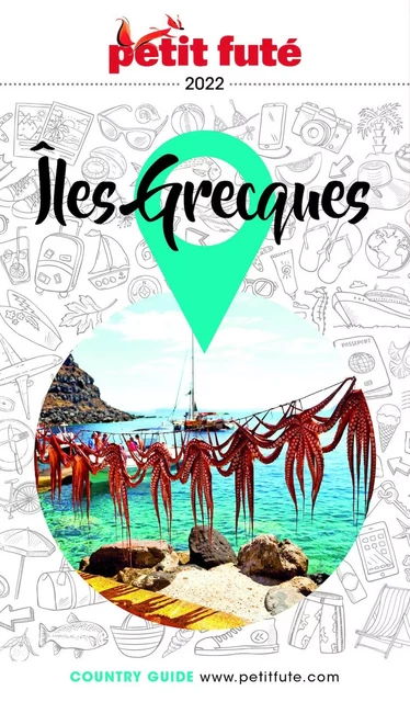 ÎLES GRECQUES 2021/2022 Petit Futé - Dominique Auzias, Jean-Paul Labourdette - Petit Futé