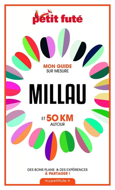 MILLAU ET 50 KM AUTOUR 2021 Carnet Petit Futé - Dominique Auzias, Jean-Paul Labourdette - Petit Futé