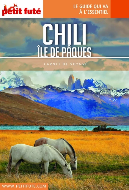 CHILI - ÎLE DE PÂQUES 2018 Carnet Petit Futé - Dominique Auzias, Jean-Paul Labourdette - Petit Futé