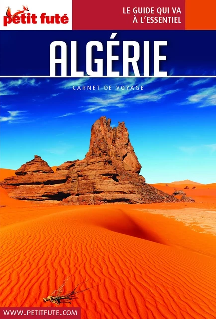 ALGÉRIE 2019 Carnet Petit Futé - Dominique Auzias, Jean-Paul Labourdette - Petit Futé