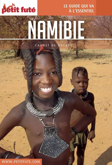 NAMIBIE 2016 Carnet Petit Futé - Dominique Auzias, Jean-Paul Labourdette - Petit Futé