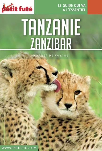 TANZANIE 2018/2019 Carnet Petit Futé - Dominique Auzias, Jean-Paul Labourdette - Petit Futé