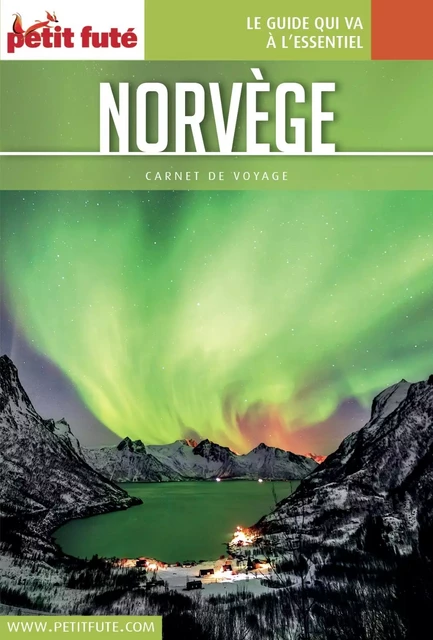 NORVÈGE 2017 Carnet Petit Futé - Dominique Auzias, Jean-Paul Labourdette - Petit Futé