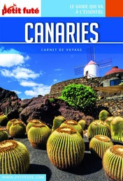 CANARIES 2018 Carnet Petit Futé