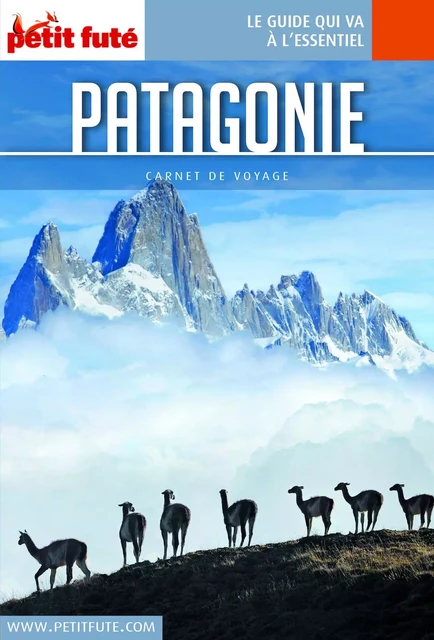 PATAGONIE 2018 Carnet Petit Futé - Dominique Auzias, Jean-Paul Labourdette - Petit Futé