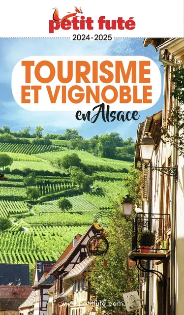 TOURISME ET VIGNOBLE EN ALSACE 2023/2024 Petit Futé - Dominique Auzias, Jean-Paul Labourdette - Petit Futé